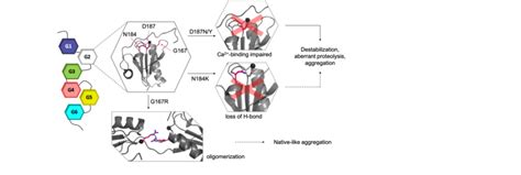 Schematic Representation Of GSN Architecture Localization And Impact