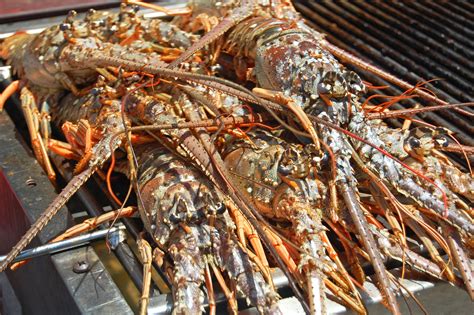 See—and Taste—Why Foodies Can't Get Enough of Belize