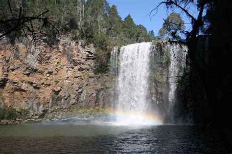 Dangar Falls (Dorrigo, New South Wales, Australia)