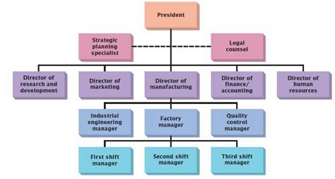 Principle Of Management Organization Structure And Effectiveness