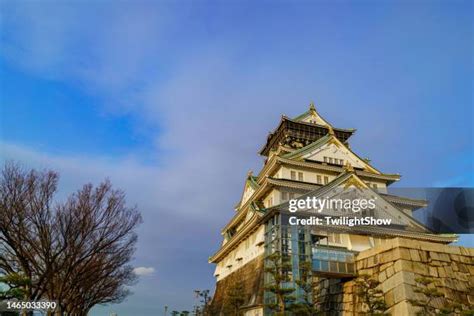 57 Osaka Castle Winter Stock Photos, High-Res Pictures, and Images ...