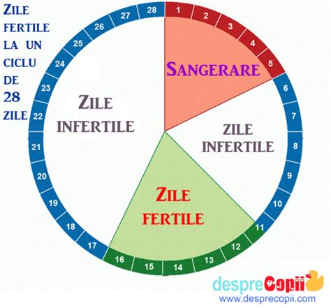 Perioada Fertila Zile Fertile Si Sansa De A Concepe Un Copil Iata