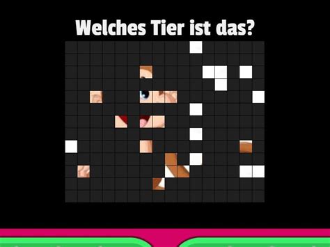 Tiere Welches Tier Ist Das Bild Quiz