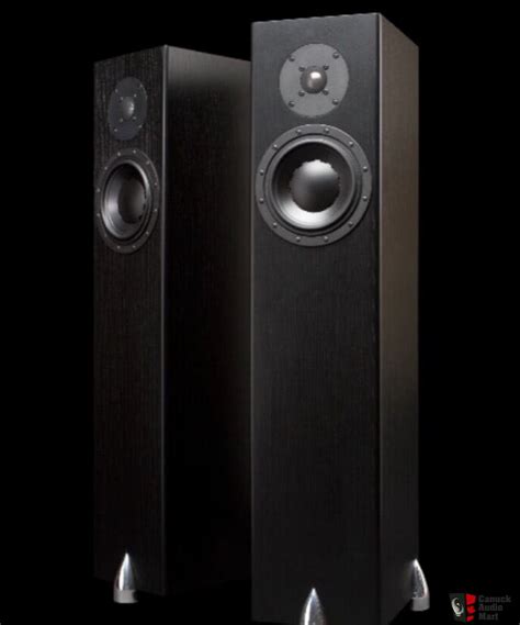 Totem Forest Reduced For Sale Canuck Audio Mart