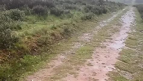 Risky Naked Walking Outdoor XHamster