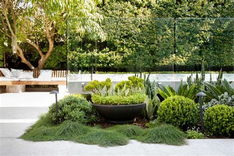 A Large Potted Plant Sitting In The Middle Of A Garden