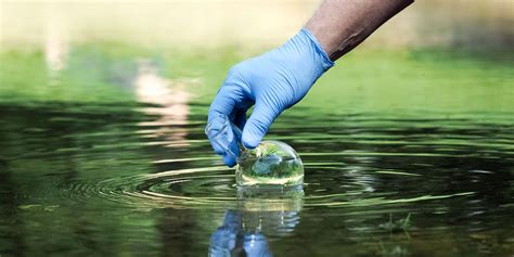 Expectations of an Environmental Science Degree | Florida Tech Ad Astra