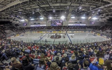 Galerie D Images De TD Place Arena OStadium