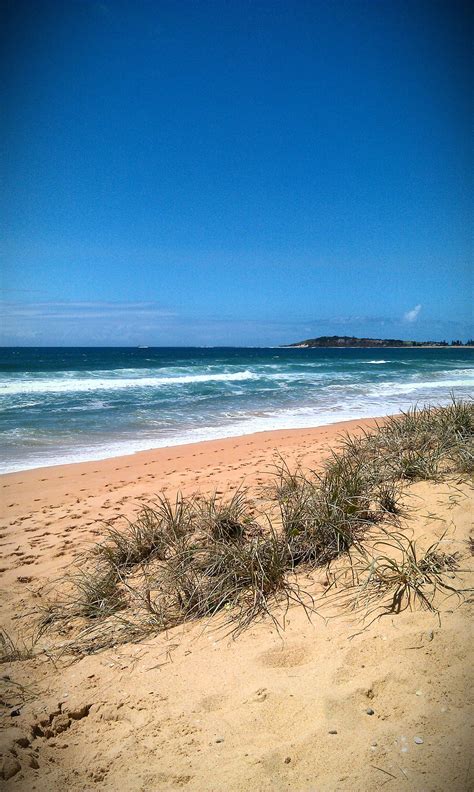 Narrabeen Beach | Australia beach, Beach, Clean beach