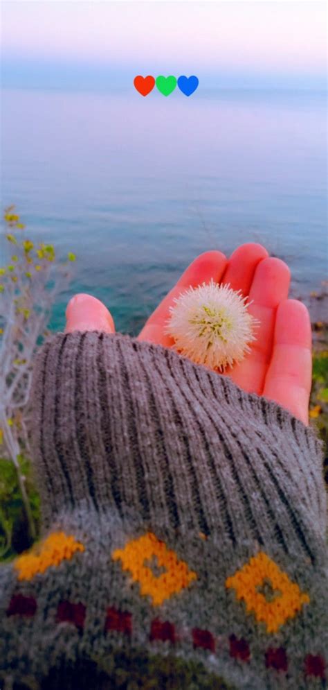 A Hand Holding A Dandelion In Front Of The Ocean With Hearts Flying Above