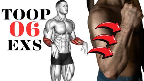 Top 06 Best Forearm Exercises For Massive Forearms Ultimate Forearm