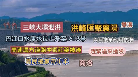 三峽大壩泄洪！丹江口水庫水位上升至1613米！洪峰匯聚襄陽！六月抗旱七月抗澇！高速塌方道路冲毀！莊稼被淹！農民拖家帶牛羊！趕緊過來搶險