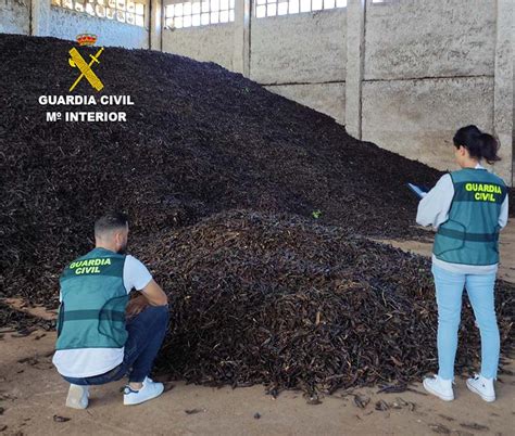 15 Investigados Por El Hurto De Dos Toneladas De Algarrobas Y Por La