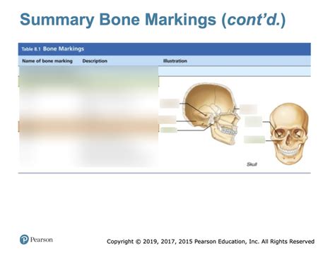 Exercise 8 Bone Marking Con T 2 Diagram Quizlet