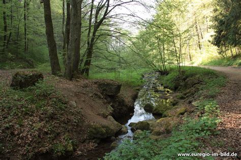 Bach im Bolsdorfer Tälchen bei Hillesheim Euregio im Bild