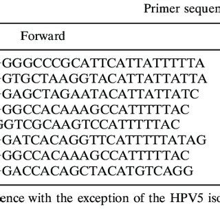 Other Papillomavirus L Expression Constructs Used In This Study