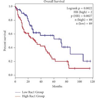 Rac Expression And Prognostic Evaluation In Hcc Patient Samples A