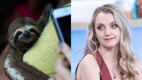 Harry Potter Actress Urges No More Sloth Selfies Following Grim