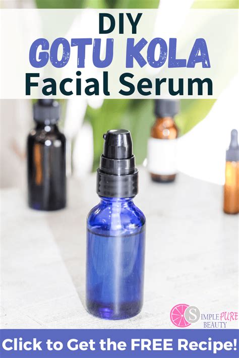 Diy Gotu Kola Anti Aging Face Serum Simple Pure Beauty