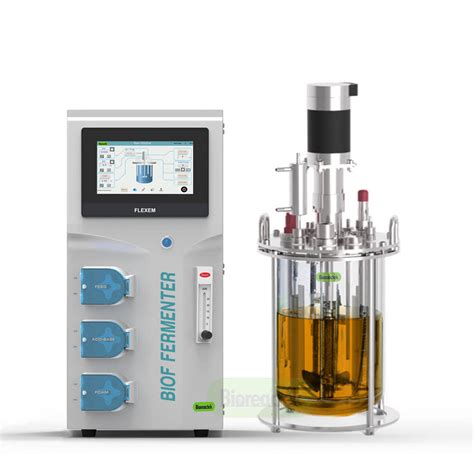 Bioreactor Fermenter In Laboratory And Production Scale