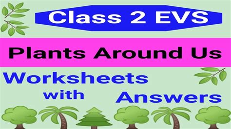 Plants Around Us Class 2 EVS Worksheet Class 2 EVS EVS Worksheet