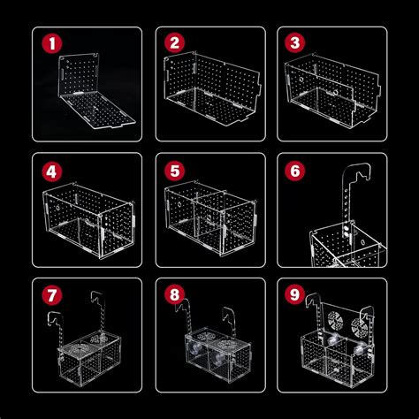 Caja de cría de peces de acuario de acrílico caja de aislamiento de