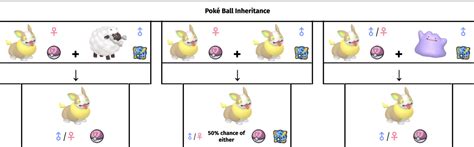 Generation 8 Breeding Guide Smogon University