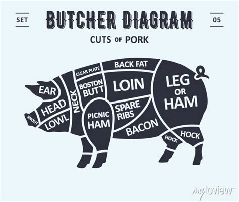 Cut Of Meat Set Poster Butcher Diagram And Scheme Pork Vintage