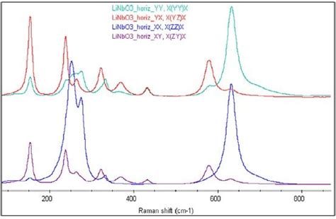 The Fundamentals Of Raman Polarization Microscopy