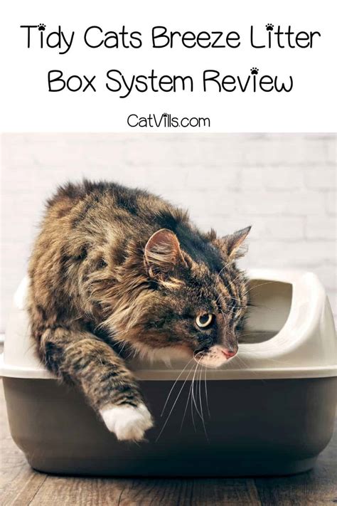 Tidy Cats Breeze Litter Box System Review for 2024 (Guide)