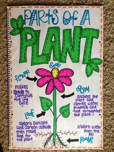 Parts Of A Plant Anchor Chart Science Anchor Charts Plants Anchor Charts Kindergarten Science