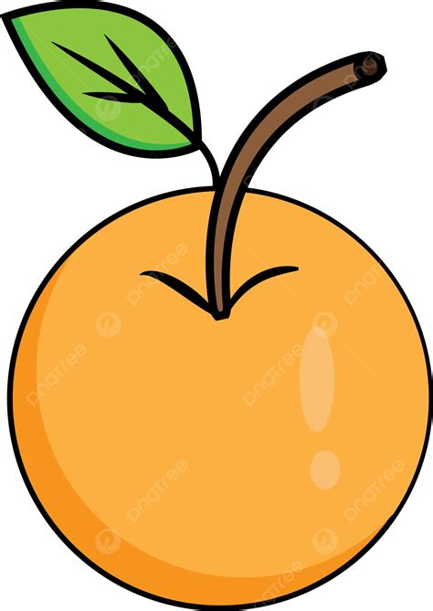 Vector Orange Orange Art Orange Png And Vector With Transparent