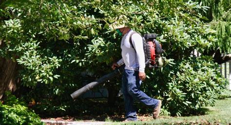 East Hampton Town Will Look At New Leaf Blower Restrictions 27 East