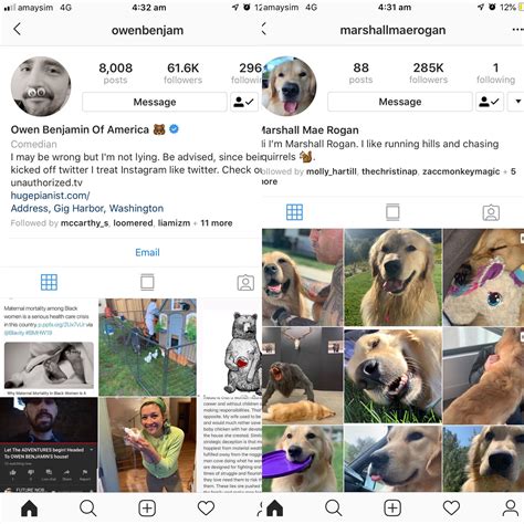 Dog owners protest owen park new leash requirements and restricted zones 27