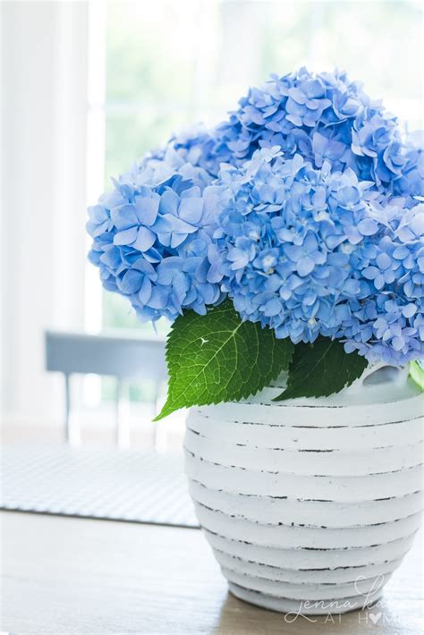 How to Keep Hydrangeas Alive in a Vase (For Up to 3 Weeks!) - Jenna