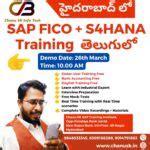 Chanu Sk Sap Fico Training In Hyderabad