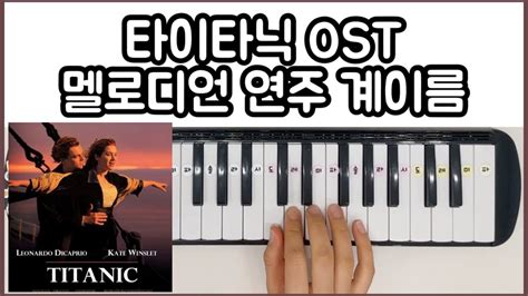 My Heart Will Go On Titanic Ost Melodica Cover