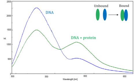 Fluorescence Spectroscopy The Basics Jasco