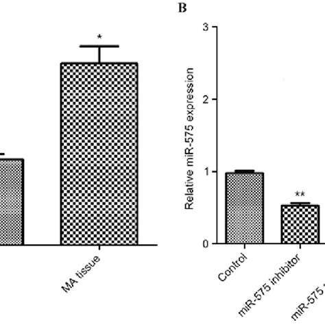 The Expression Of Sod In Placental Villus Tissue Assayed By A