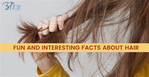 Fun And Interesting Facts About Hair Hair Care Tips