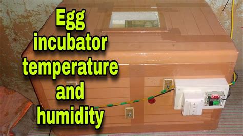 How To Set Proper Temperature And Humidity In Egg Incubator Youtube