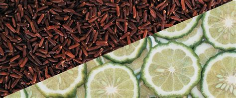 Citrus Bergamot Vs Red Yeast Rice Which One Should You Take To Lower