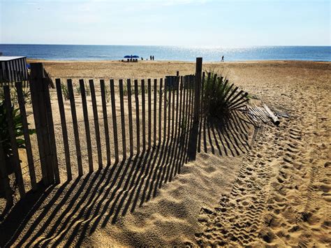 Poodle Beach reviews, photos - Rehoboth Beach - GayCities Rehoboth Beach