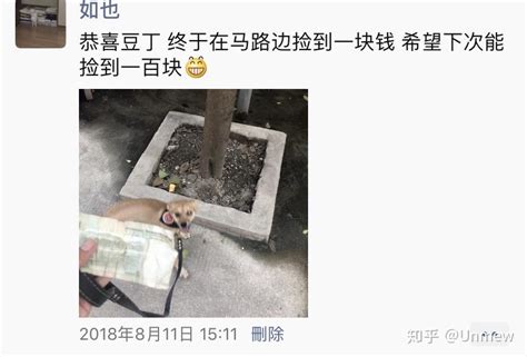 捡到狗是什么体验？ 知乎