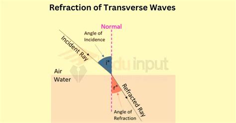 Transverse Waves in Optics- Reflection, Refraction, and Diffraction