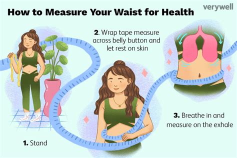 How To Measure Waist Austra Health