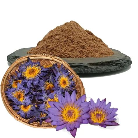 High Quality Blue Lotus Extract Powder Blue Lotus Powder Blue Lotus