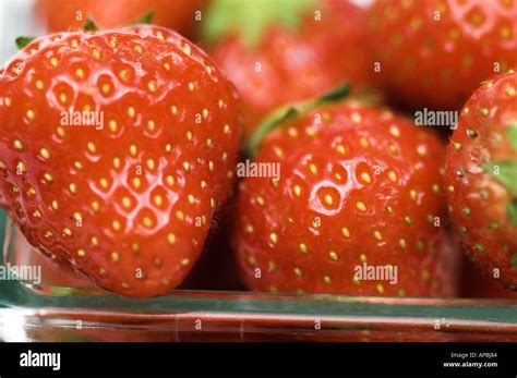 Strawberry Fruit Strawberries Stock Photo Alamy