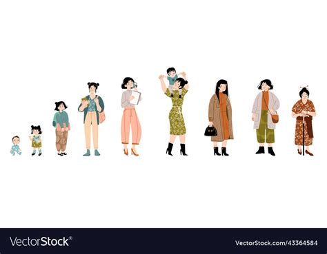 Asian Woman Life Cycle Female Character Lifespan Vector Image