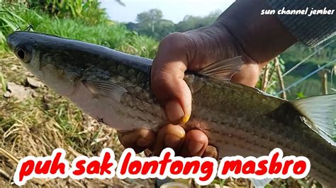 SPOT MANCING ANDALAN SELALU DI BERI REJEKI KALAU MANCING KESINI